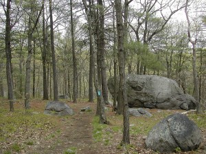 5 best day hikes near boston blue hills skyline trail