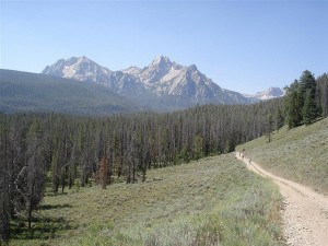 best mountain biking trails elk meadow
