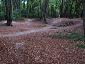 5 best mountain biking trails near london epping forest