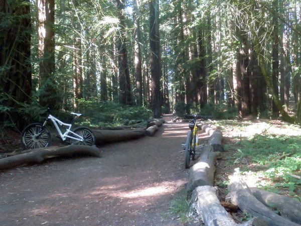 5 best mountain biking trails in san francisco joaquin miller
