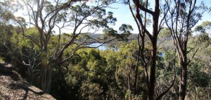5 best mountain biking trails in sydney manly dam