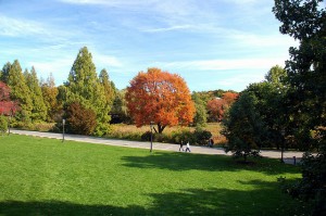 arnold arboretum 5 best cycling routes in boston