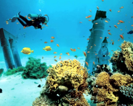 red-sea-scuba-diving